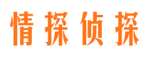 蒲县外遇调查取证